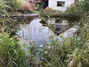 Prodej rodinného domu, Nová Ves u Mladé Vožice - Horní Střítež, 150 m2