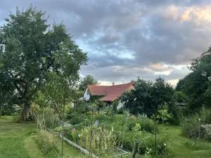 Prodej rodinného domu, Nová Ves u Mladé Vožice - Horní Střítež, 150 m2