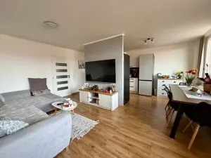 Prodej bytu 3+1, Nové Strašecí, Žižkovo náměstí, 70 m2
