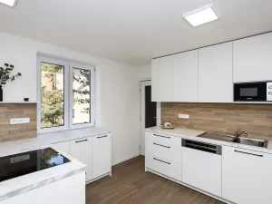 Pronájem bytu 2+kk, Opava, U Hliníku, 46 m2