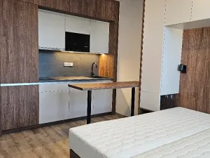 Pronájem bytu 2+kk, Praha - Michle, Na úlehli, 42 m2