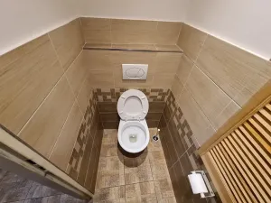 Pronájem bytu 1+kk, Praha - Nové Město, Opletalova, 43 m2