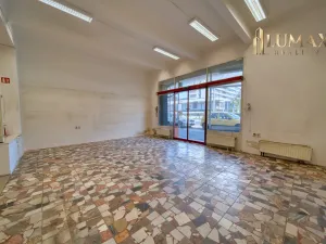 Pronájem obchodního prostoru, Hradec Králové, S. K. Neumanna, 250 m2