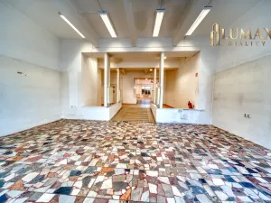 Pronájem obchodního prostoru, Hradec Králové, S. K. Neumanna, 250 m2