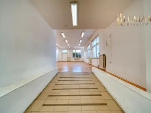Pronájem obchodního prostoru, Hradec Králové, S. K. Neumanna, 250 m2