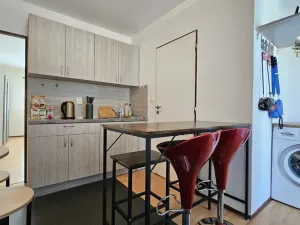 Pronájem bytu 1+1, Sebranice, 30 m2