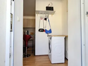 Pronájem bytu 1+1, Sebranice, 30 m2