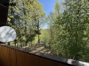 Prodej chaty, Týniště nad Orlicí - Štěpánovsko, 36 m2