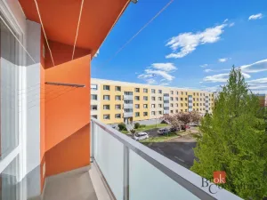 Pronájem bytu 1+kk, Hradec Králové - Moravské Předměstí, Vysocká, 33 m2
