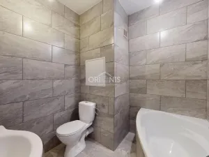 Prodej bytu 1+1, Ústí nad Labem - Neštěmice, Železná, 37 m2