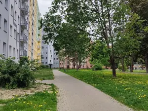 Pronájem bytu 2+1, Ostrava, Svojsíkova, 54 m2