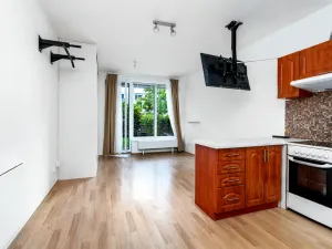 Pronájem bytu 1+kk, Praha, Herlíkovická, 31 m2