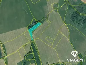 Prodej pole, Pšov, 5000 m2