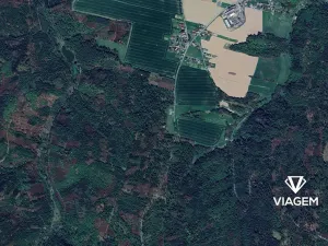 Prodej lesa, Opava, 233 m2