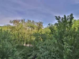 Pronájem bytu 2+kk, Praha - Hloubětín, Nademlejnská, 41 m2