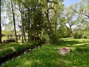 Prodej chalupy, Seč, 97 m2