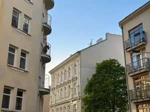 Prodej bytu 2+kk, Praha - Žižkov, Dalimilova, 52 m2