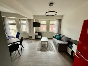 Prodej bytu 2+kk, Praha - Žižkov, Dalimilova, 52 m2
