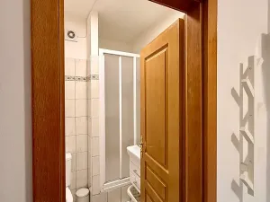Prodej bytu 2+kk, Praha - Žižkov, Dalimilova, 52 m2