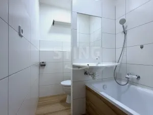 Pronájem bytu 1+1, Ostrava - Poruba, 38 m2