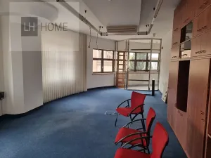 Pronájem obchodního prostoru, Plzeň, 30 m2