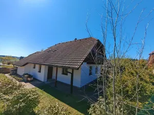 Prodej rodinného domu, Stachy, 200 m2
