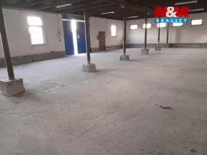 Prodej výrobních prostor, Otvice, Polní, 4026 m2
