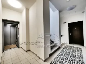 Pronájem bytu 1+kk, České Budějovice, Fráni Šrámka, 40 m2