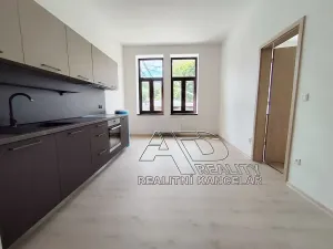 Pronájem bytu 3+kk, České Budějovice, Fráni Šrámka, 65 m2
