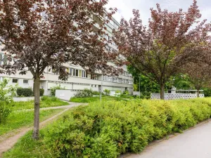 Pronájem bytu 2+kk, Praha - Karlín, Nekvasilova, 41 m2