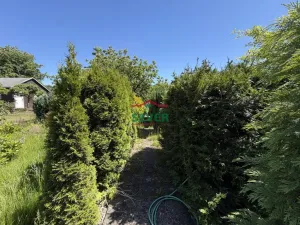 Prodej zahrady, Litvínov - Horní Litvínov, S. K. Neumanna, 349 m2