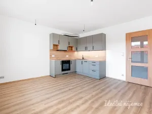 Pronájem bytu 3+kk, Praha - Dolní Měcholupy, Honzíkova, 67 m2