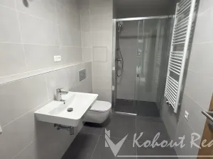 Pronájem bytu 3+kk, Praha - Řeporyje, Haenkeho, 74 m2