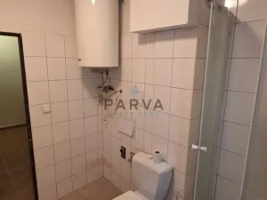 Pronájem bytu 1+kk, Plzeň - Východní Předměstí, Guldenerova, 34 m2