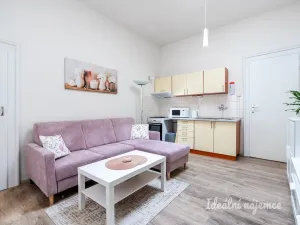 Pronájem bytu 2+kk, Praha - Staré Město, U staré školy, 45 m2