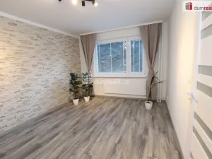 Prodej bytu 1+1, Chodov, Luční, 36 m2