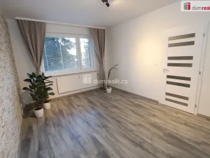 Prodej bytu 1+1, Chodov, Luční, 36 m2
