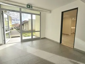 Pronájem kanceláře, Praha, U dělnického cvičiště, 46 m2