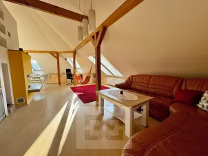 Pronájem bytu 3+kk, Velké Opatovice, Sokolská, 195 m2
