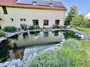 Pronájem bytu 3+kk, Velké Opatovice, Sokolská, 195 m2