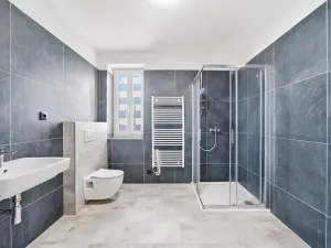 Prodej bytu 1+kk, Malá Morávka, 42 m2