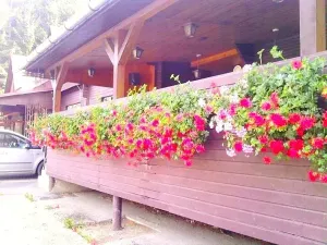 Pronájem komerční nemovitosti, Valašské Klobouky, 467 m2