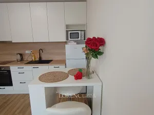 Pronájem bytu 1+kk, Hodonín, Žižkova, 23 m2