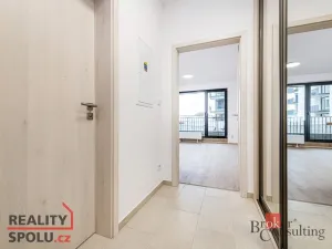 Pronájem bytu 1+kk, Plzeň, Železná, 40 m2