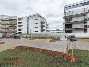 Pronájem bytu 1+kk, Plzeň, Železná, 40 m2