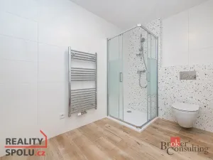 Pronájem bytu 1+kk, Plzeň, Železná, 40 m2