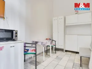 Prodej obchodního prostoru, Chomutov, Palackého, 159 m2