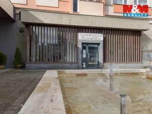 Prodej obchodního prostoru, Chomutov, Palackého, 159 m2