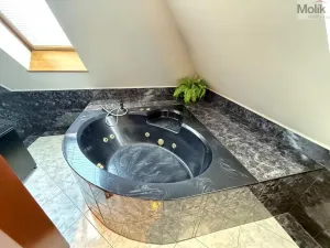 Pronájem atypického bytu, Chomutov, Zborovská, 256 m2