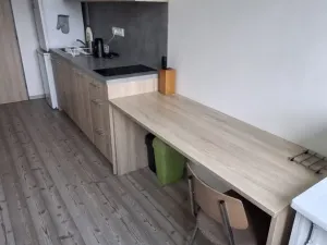 Pronájem bytu 2+1, Olomouc, U Hradiska, 54 m2